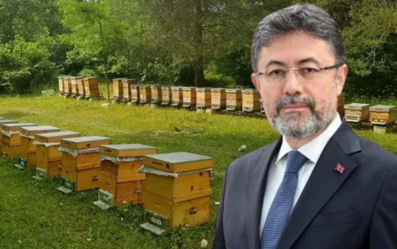 Bakan açıkladı; balda tağşişe yeni önlem