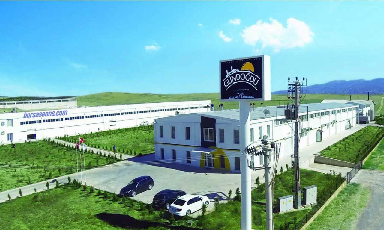 Gündoğdu Gıda’dan burger peyniri hamlesi