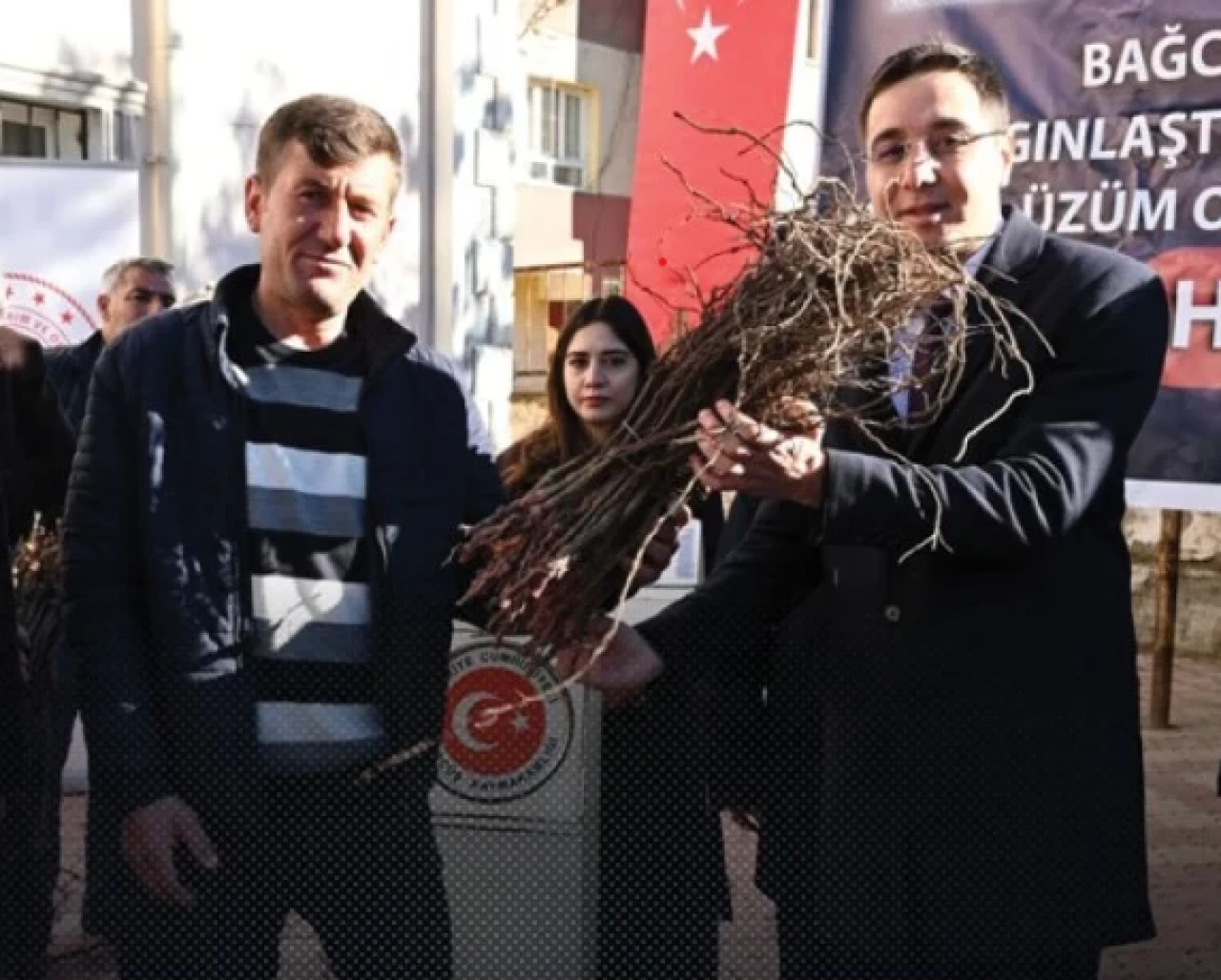 Çiftçilere 5 bin 250 üzüm fidesi hibe edildi