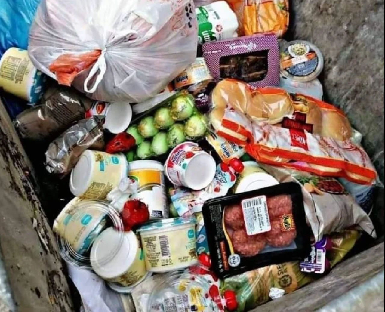 Dünya Gıda Günü: Gıdanın ne kadarı çöpe gidiyor?
