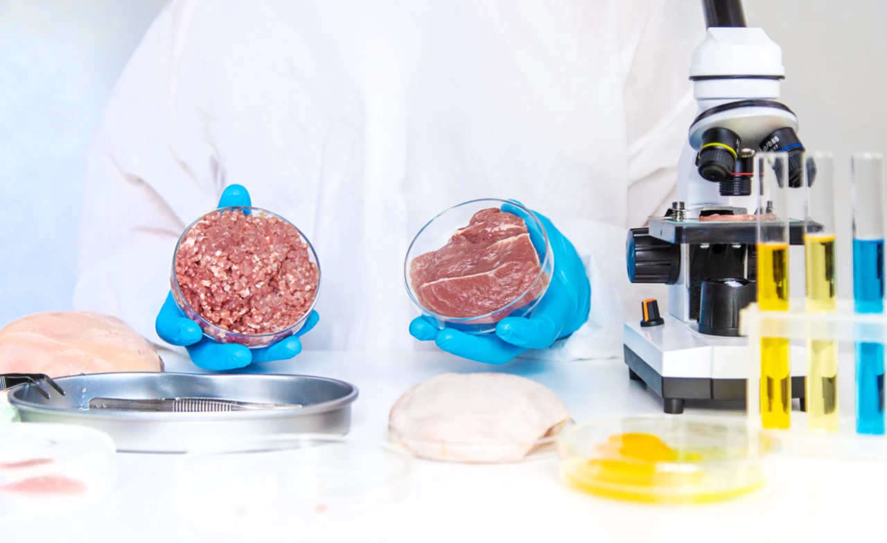 Salmonella zehirlenmesine karşı aşı geliştiriliyor