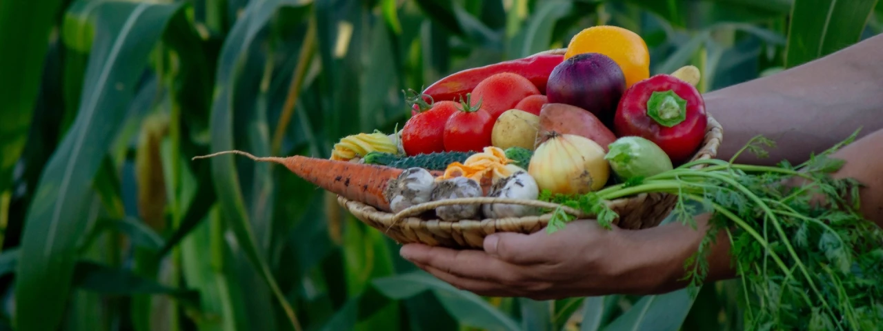 EAT-Lancet raporu: Zenginlerin gıdası karbon ayak izinin yüzde 70'inden sorumlu