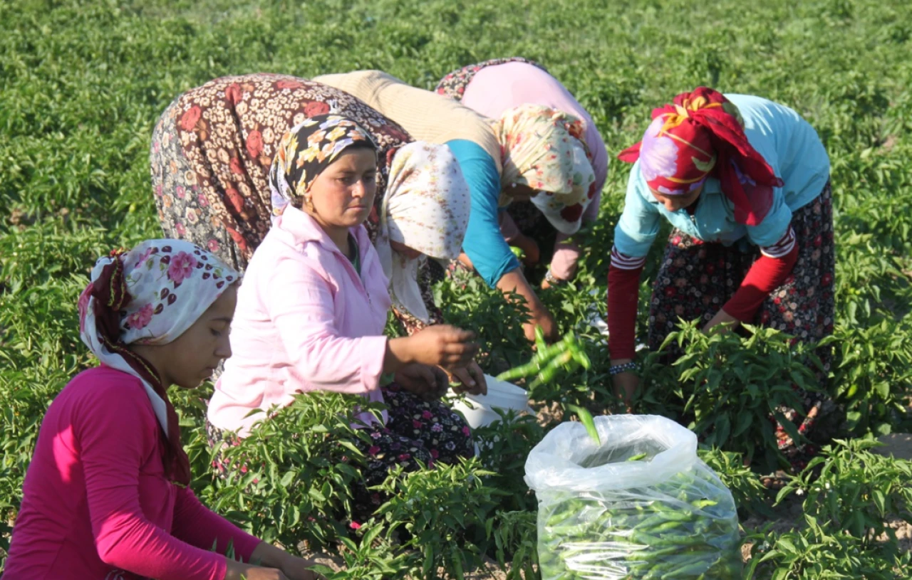 Kadın Çiftçiler Günü'nde kara tablo..