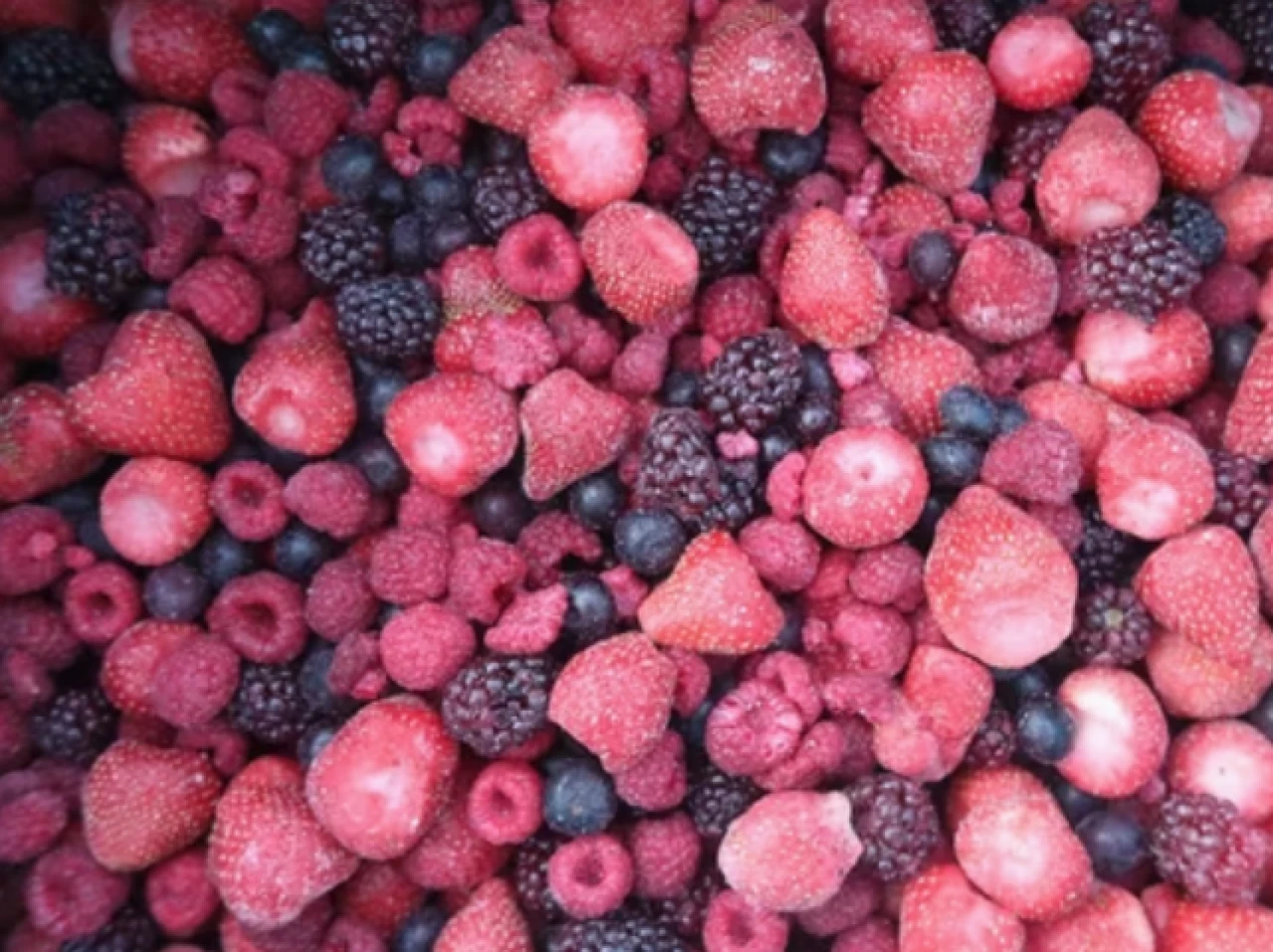 Dondurulmuş ahududu ve çilekte Hepatit A alarmı