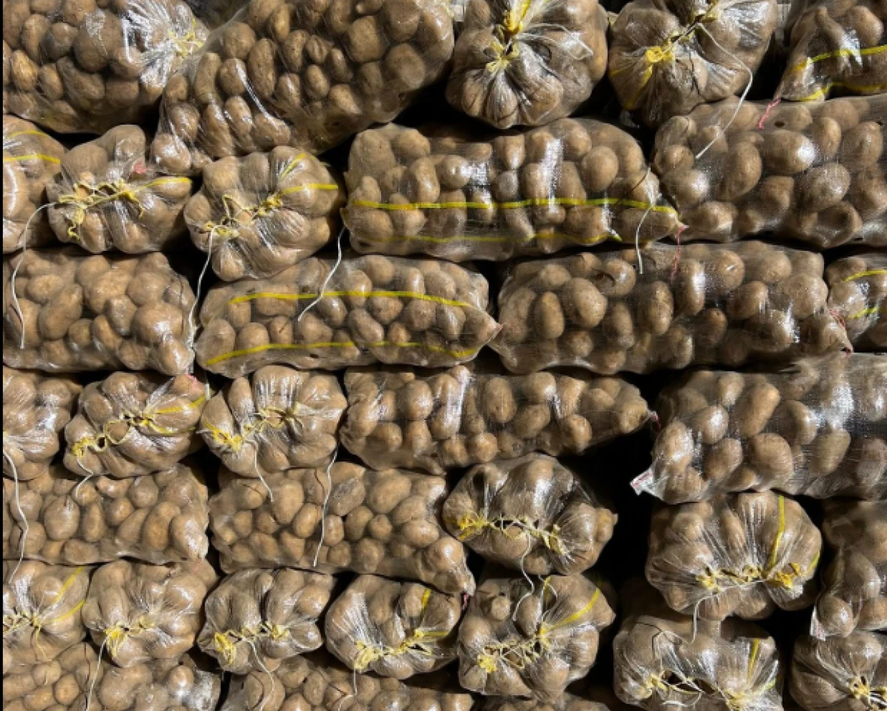 Patates tarlada 5 markette 25 lira