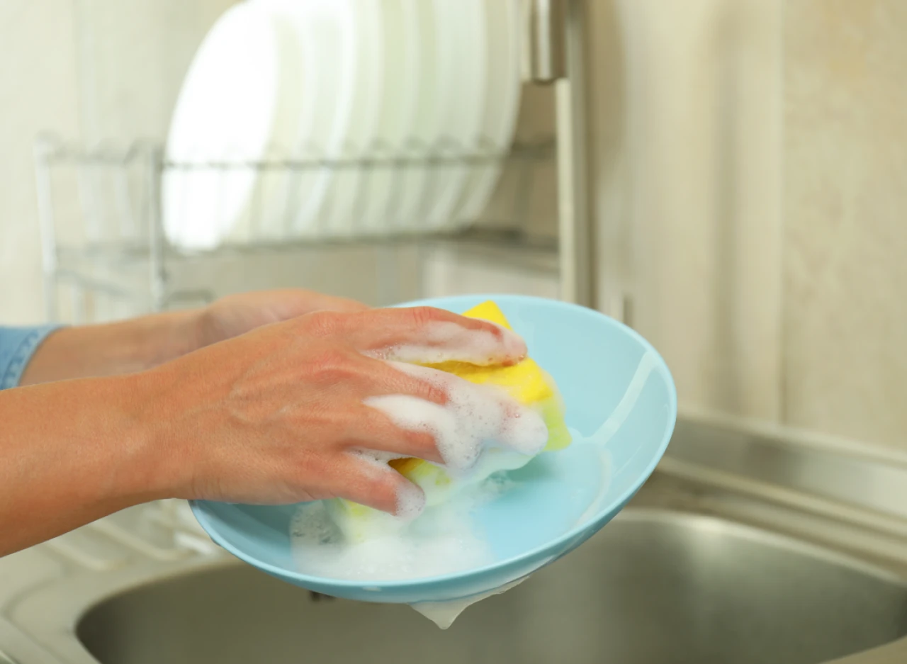 Bulaşık süngerleri mikrop yuvası çıktı