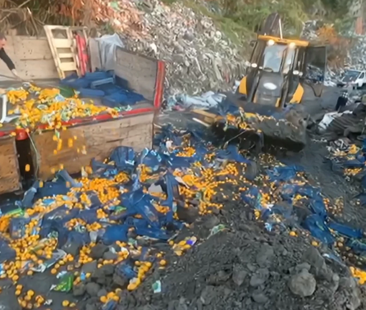 Zehirli mandalinalar sınırda yakalandı