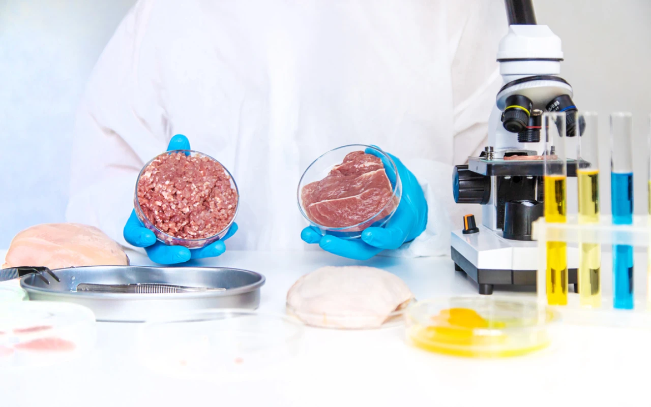 Soya ve bezelyeye rakip yeni protein kaynağı geliyor