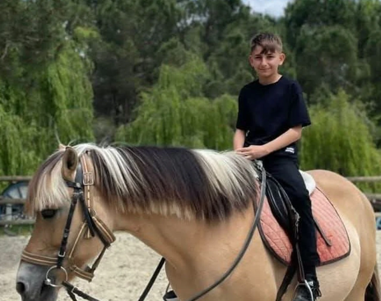 Eren'i tavuk döner mi öldürdü?