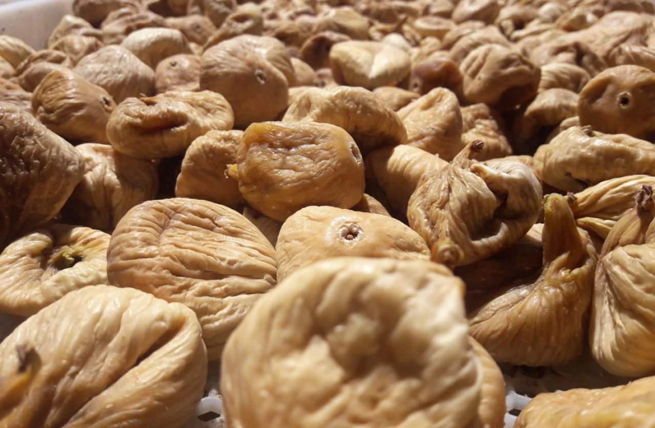 Türk kuru incirine Avrupa'da büyük gözaltı!