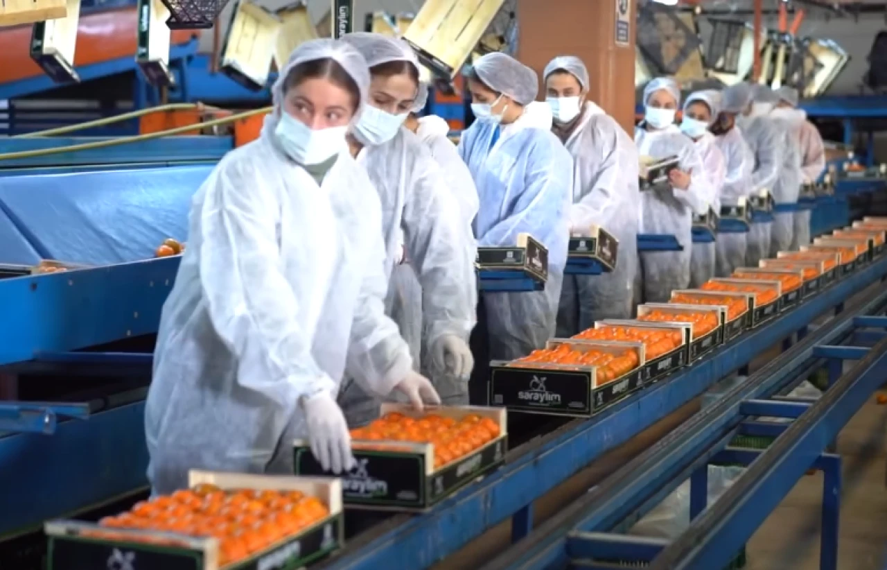 Tarım devi iflasın eşiğinde