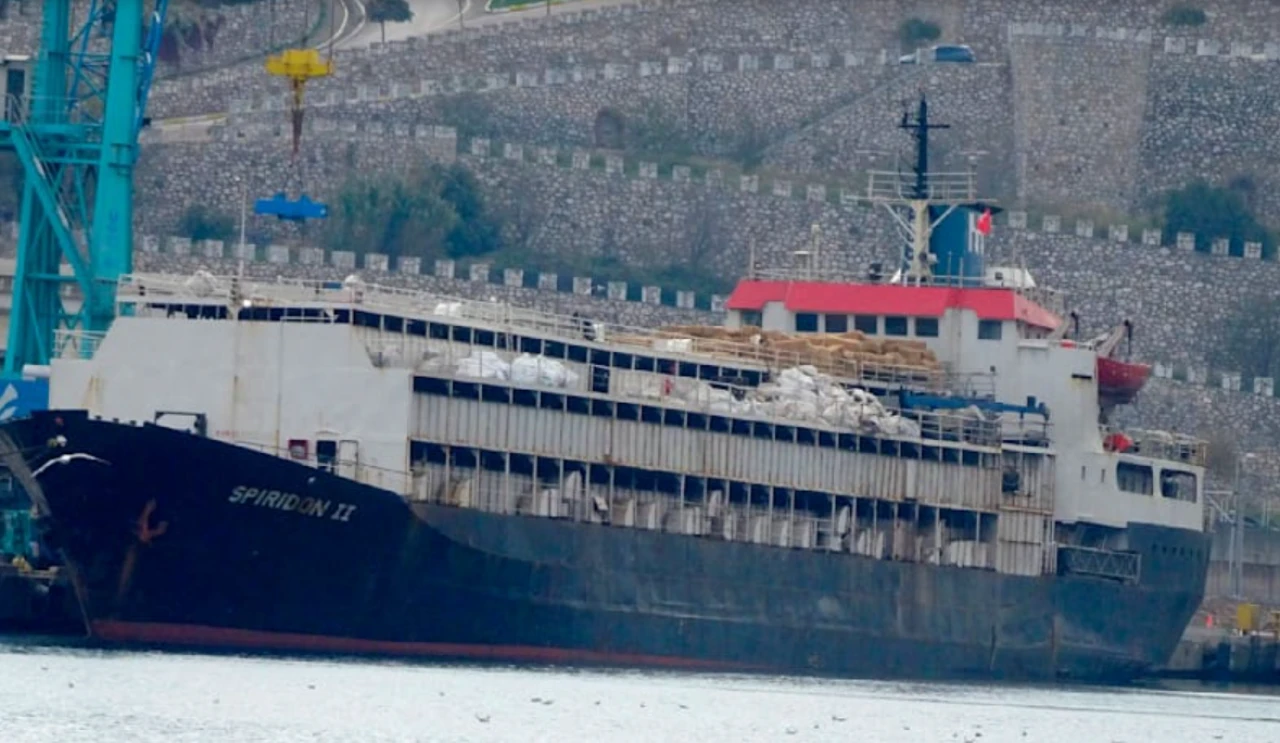 'Dehşet gemisi'ndeki tüm inekler ölecek mi?