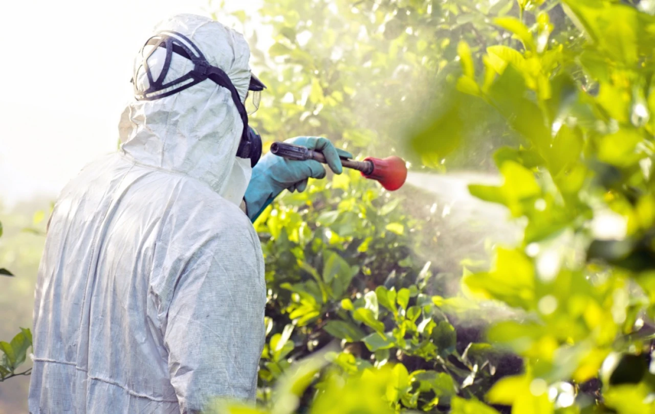 Bakanlık pestisit denetim sonuçlarını açıklayacak mı?