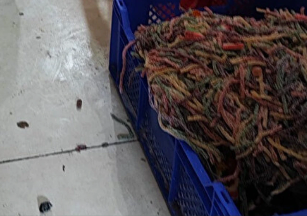 Gıda terörü çocuklara uzandı; Ya ihbar eden olmasaydı...