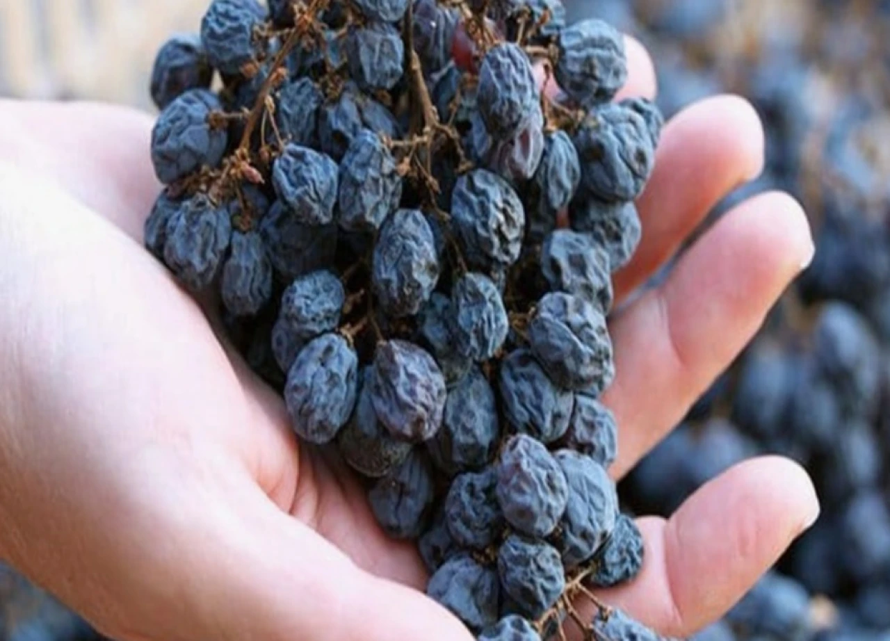 Üzümümüz İngiltere'de manşet oldu.. Ama tarım zehri nedeniyle!