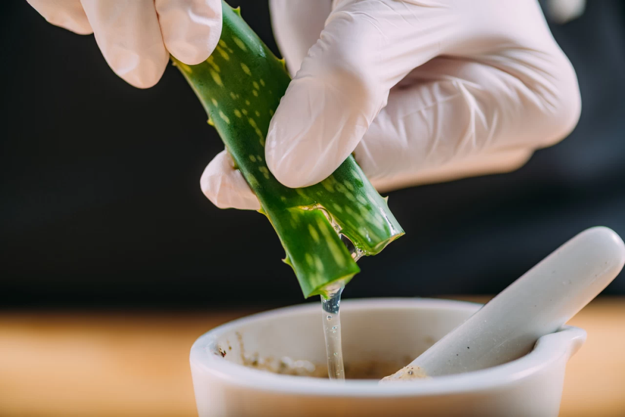 Laboratuvarda et devrimi: Aloe Vera ile daha lezzetli ve ekonomik üretim!