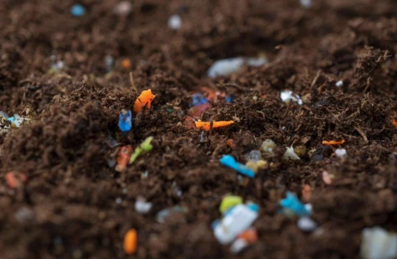 Mikroplastikler gıda krizine yol açabilir!
