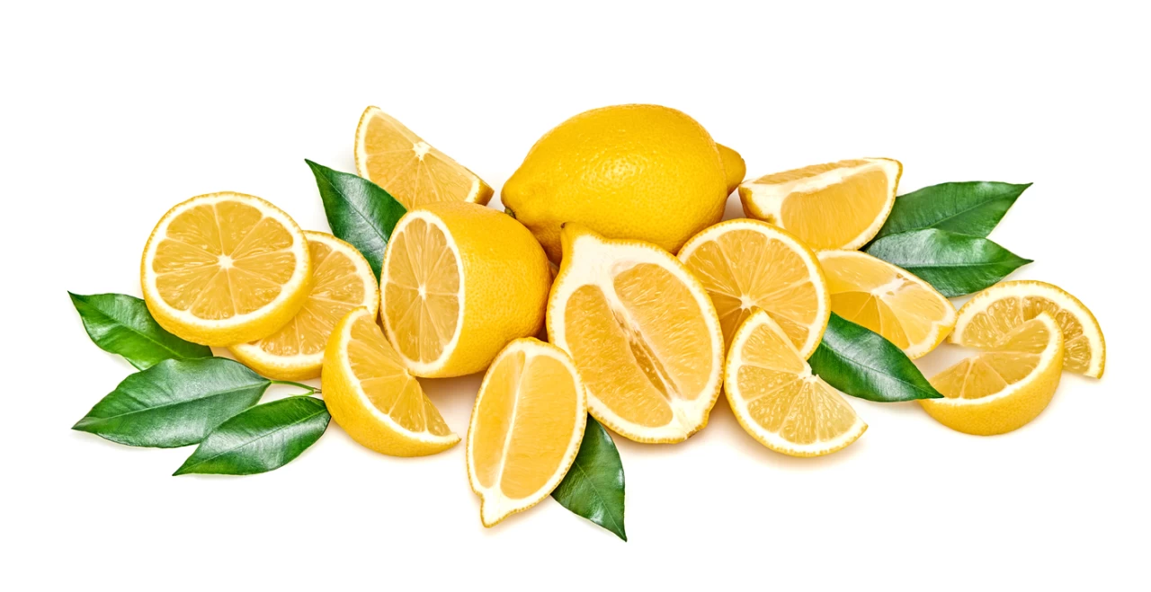 Limon ihracatı için yarından itibaren geçici bir süreliğine durdurma kararı alındı