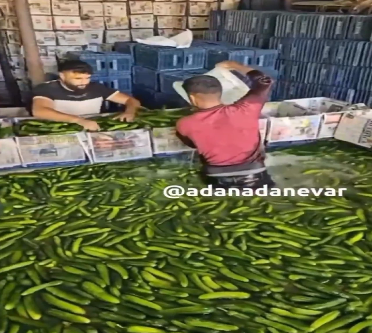 Mide bulandıran yıkama havuzu görüntülerine soruşturma