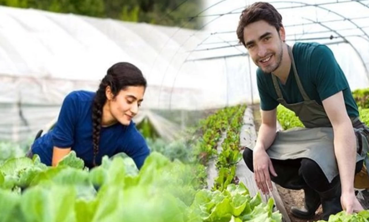 Genç çiftçi destekleri neler? Genç çiftçilere hibe desteği 2025!