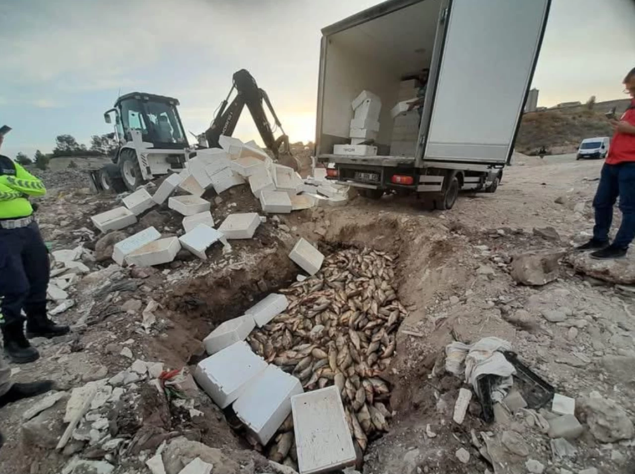 Kaçak balığa otoyolda baskın! 1,5 ton sağlıksız sazan imha edildi