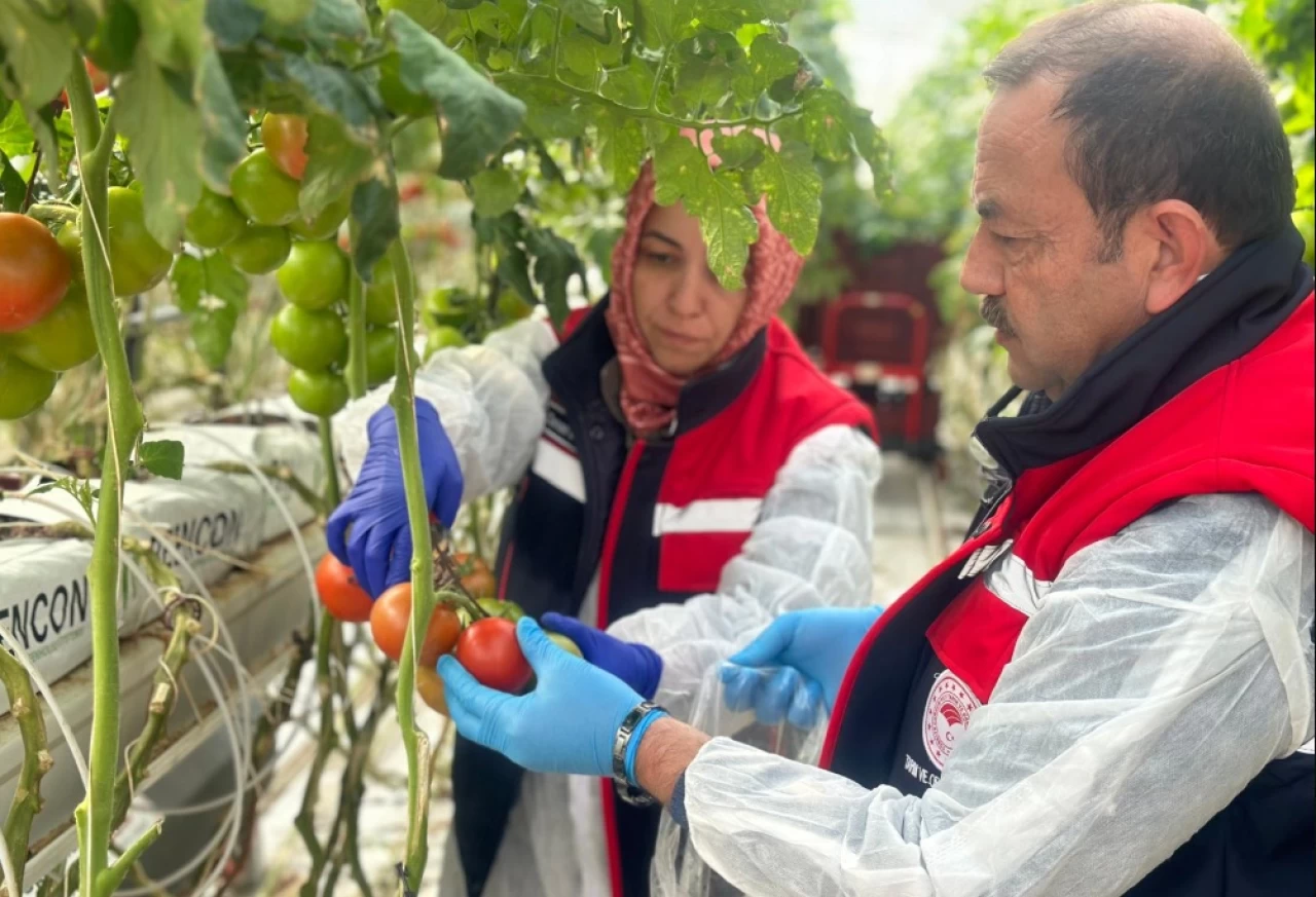 Bakanlık pestisit sonuçlarını açıkladı.. En çok hangi ilde kullanılıyor?