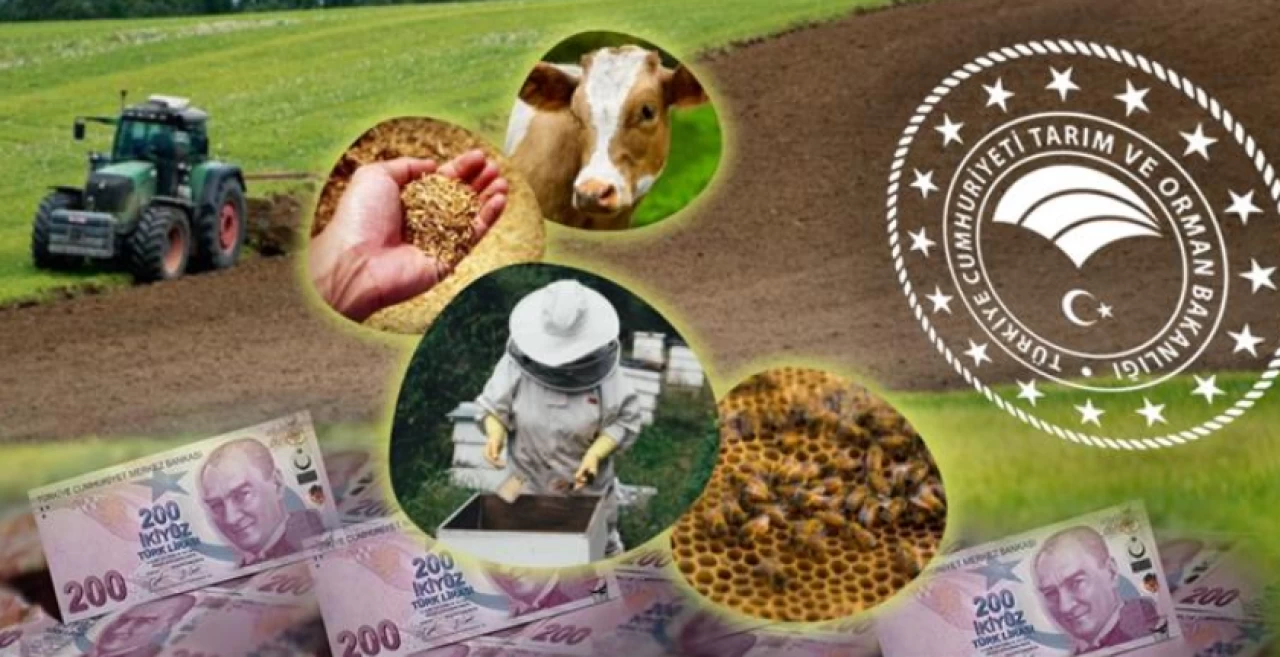 Yeni tarım destekleri hakkında tüm merak edilenler; Planlı üretim desteği hangi ürünler için geçerli... Destek katsayısı nedir?