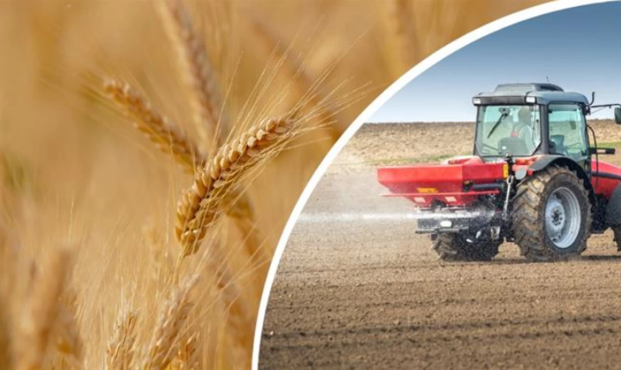 Buğday alım fiyatına tepki: Biri 6 kat biri 600 kat arttı