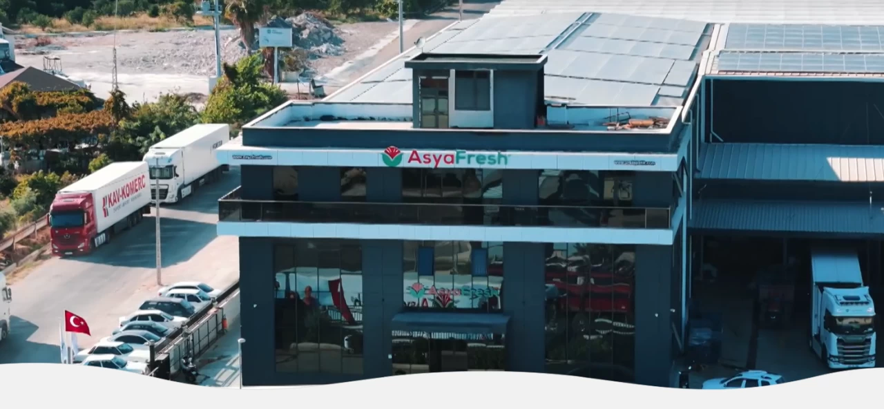 Yaş meyve devi konkordato ilan etti.. Rusya'ya tonlarca meyve gönderiyordu