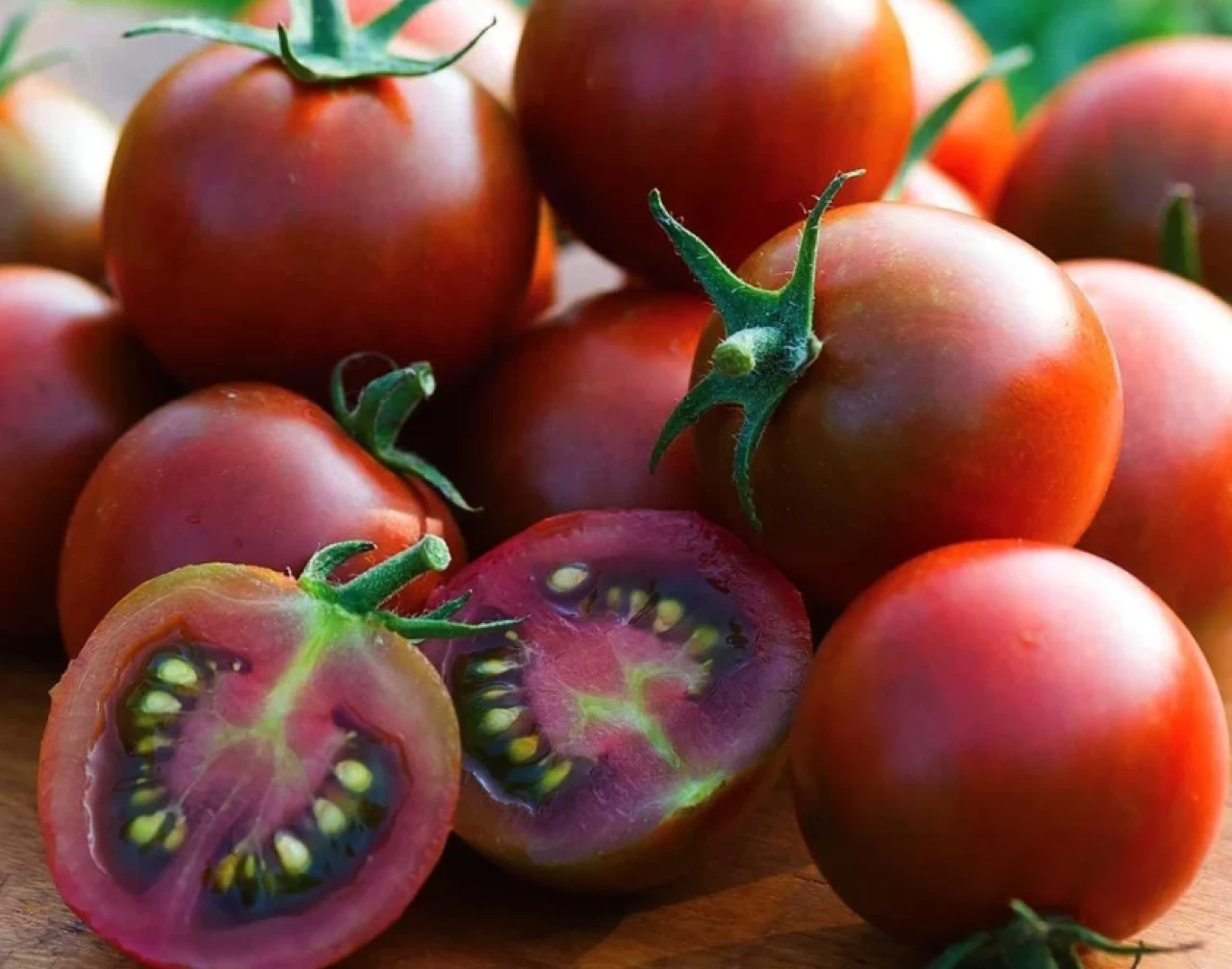 Avrupa’ya gönderilen cherry domateslerde yasaklı pestisit şoku