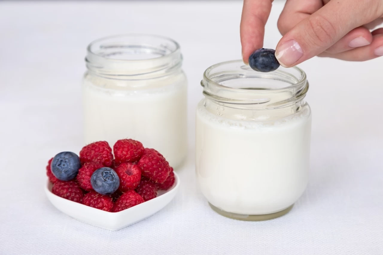 Sade kefir mi meyveli kefir mi?