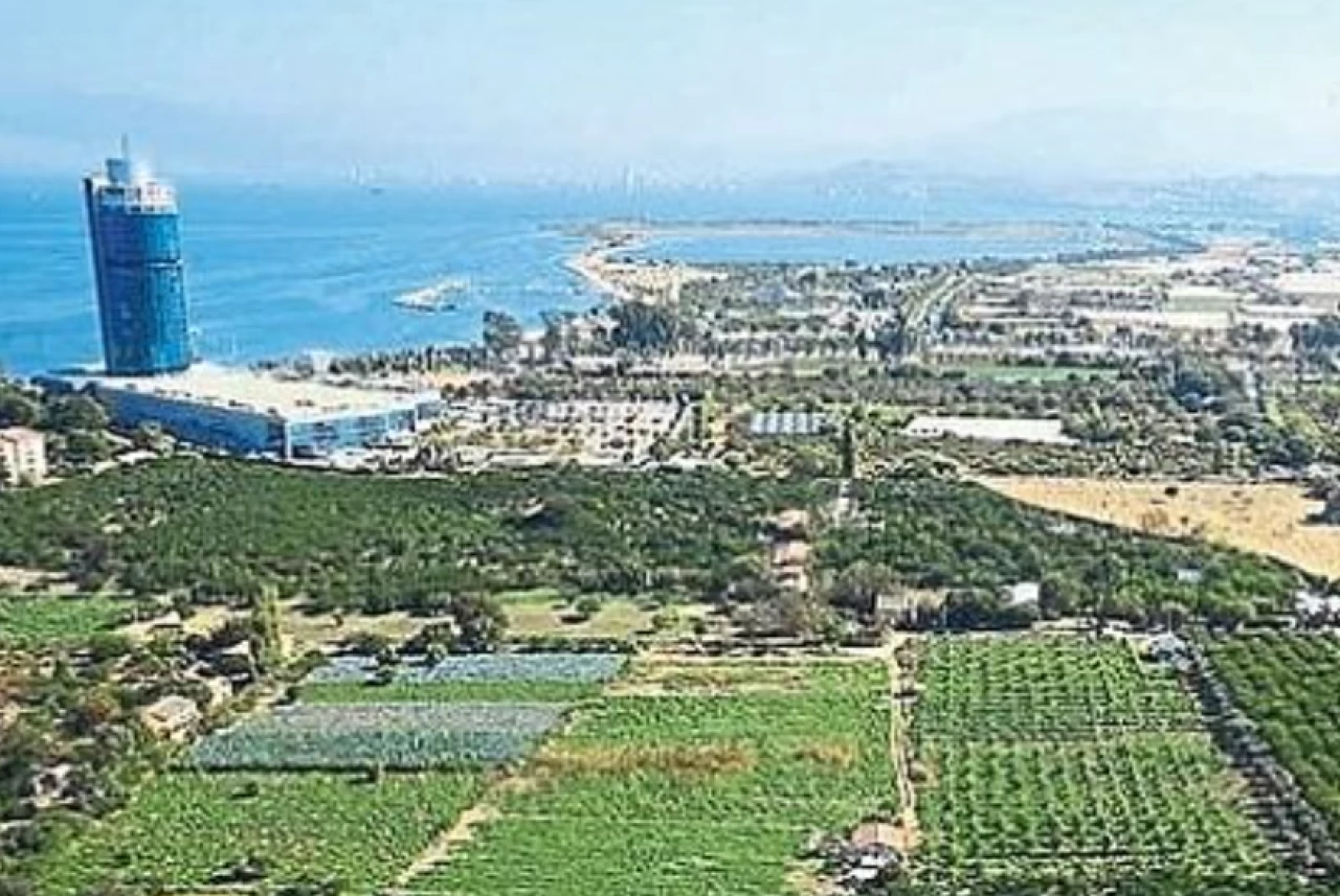 İzmir'in tarlalarında gökdelenler açtı!