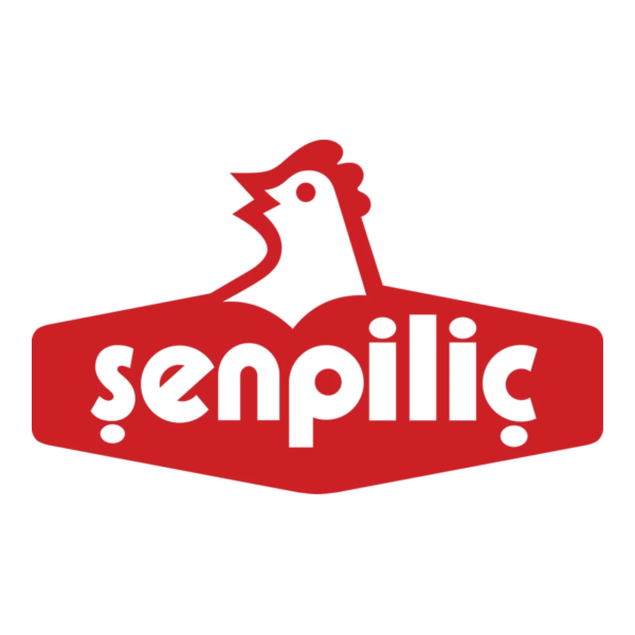 Şenpiliç’ten eğitime üç büyük katkı