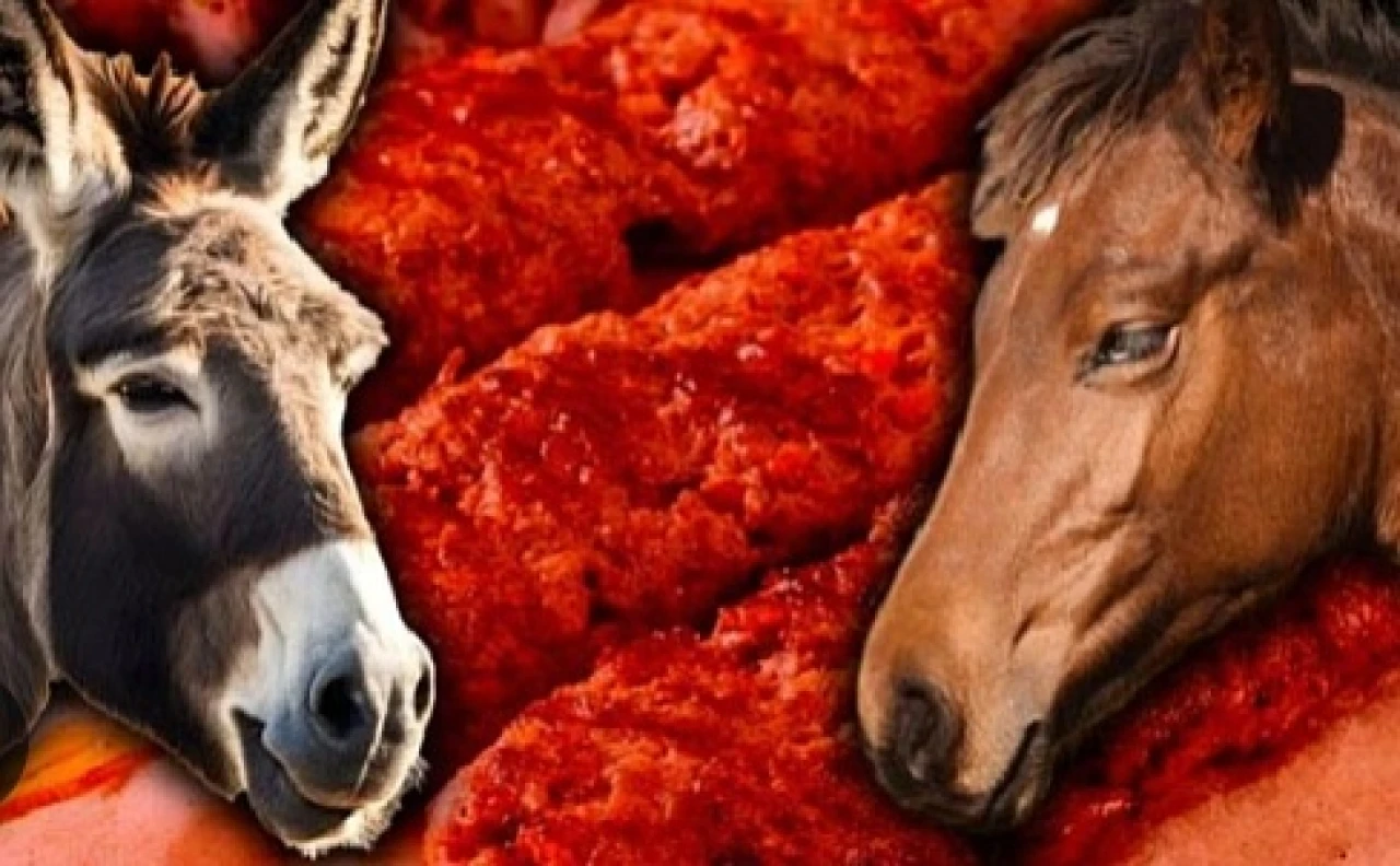 TÜİK açıkladı: 11 bin at eşek kayıp.. Akla tağşiş listeleri geldi!