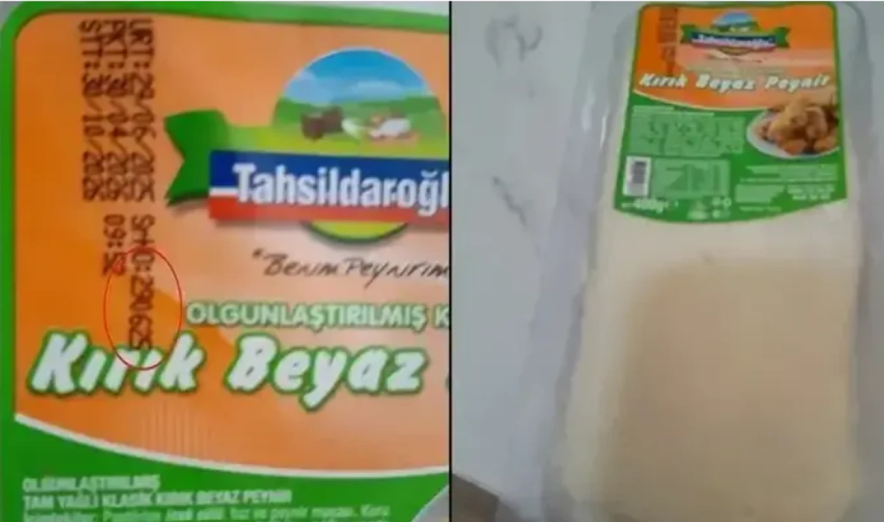 Tahsildaroğlu peynirde bakteri alarmı; Listeria hangi üründe saptandı?