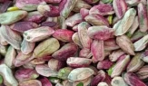 Fıstığın kilosu 600 TL ama çiftçiye asgari ücret bile kalmıyor! İşte üreticinin hesabı