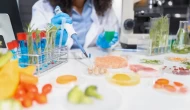 Yapay gıdalar sofradaki yerini alıyor mu?