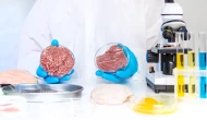 Salmonella zehirlenmesine karşı aşı geliştiriliyor