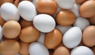 Dünya Yumurta Günü; Yılda kaç yumurta üretiyoruz?