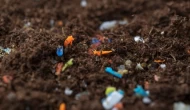 Mikroplastikler gıda krizine yol açabilir!