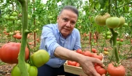 Antalya Gastronomi Festivali tarladan başladı!