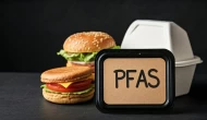 PFAS’sız grafen oksit kaplama ile gıda ambalajında yeni dönem