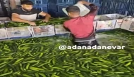 Mide bulandıran yıkama havuzu görüntülerine soruşturma
