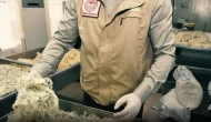 Toptancılar Sitesi'nde 40 ton bozuk ürün ele geçirildi