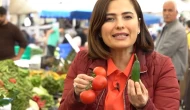 Dr. Ayça Kaya 'Gıda Bülteni'ne anlattı.. "Artan hastalıkların nedeni pestisitler"