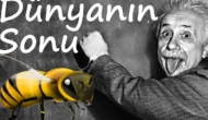 Dünya Arı Günü.. Einsetin arı teorisi hurafe mi gerçek mi?