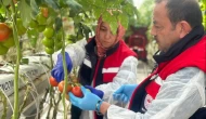 İşte Türkiye'yi pestisite boğan iller!