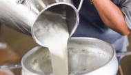 Sokak sütü antibiyotikli çıktı!