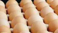 Yumurtada 1,5 dolarlık kesinti sona erdi