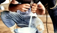 4 süt firmasına ‘haksız fiyat’ cezası